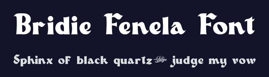 Bridie Fenela Font by VinType — Display Font — thumbnail 2
