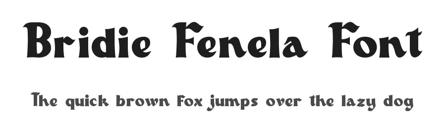Bridie Fenela Font by VinType — Display Font