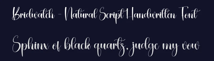 Bridwatch – Natural Script Handwritten Font by creativeletter — Script Handwritten Font — thumbnail 2