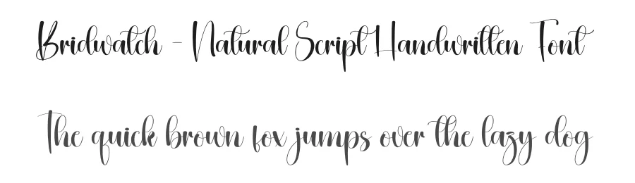 Bridwatch – Natural Script Handwritten Font by creativeletter — Script Handwritten Font