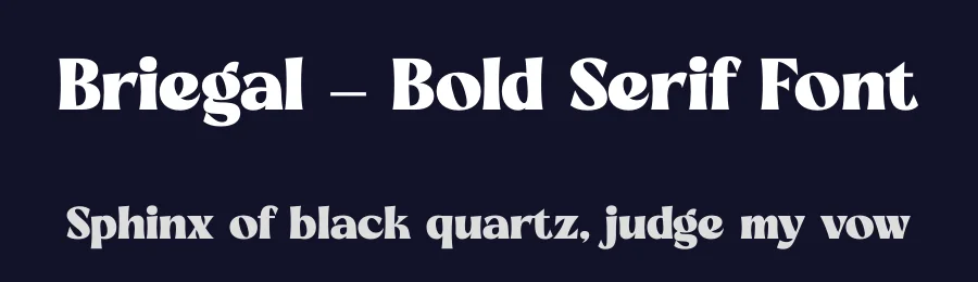 Briegal – Bold Serif Font by timelesstype.co — Display Font — thumbnail 2