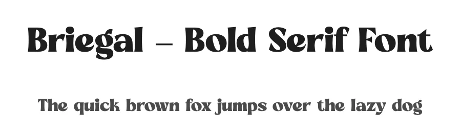 Briegal – Bold Serif Font by timelesstype.co — Display Font