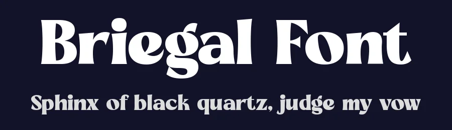 Briegal Font by timelesstype.co — Serif Font — thumbnail 2