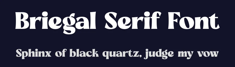 Briegal Serif Font by timelesstype.co — Display Font — thumbnail 2