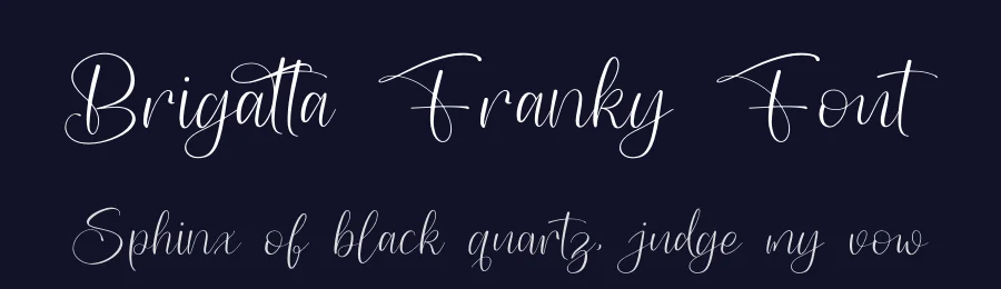 Brigatta Franky Font by letterenastudios — Script Handwritten Font — thumbnail 2