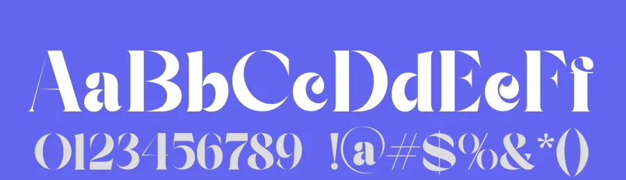 Bright Agnia Font by zaain type — Serif Font — thumbnail 3