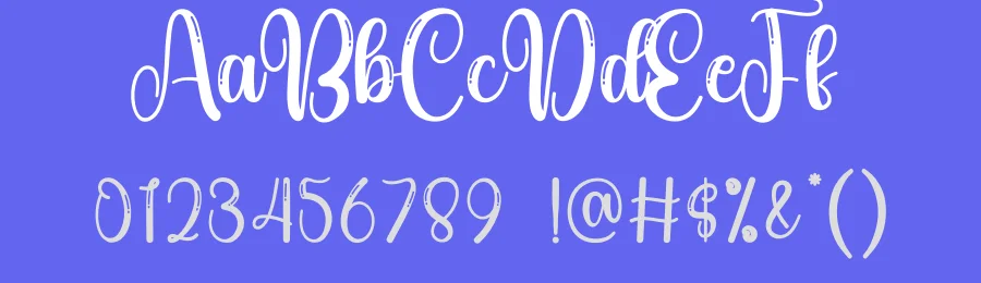 Bright Calligraphy Font by andikastudio — Script Handwritten Font — thumbnail 3