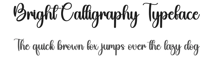 Bright Calligraphy Typeface by creativeletter — Script Handwritten Font