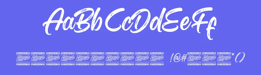 Bright Flash – Script Font by [email protected] — Script Handwritten Font — thumbnail 3