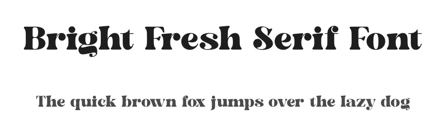 Bright Fresh Serif Font by timelesstype.co — Display Font