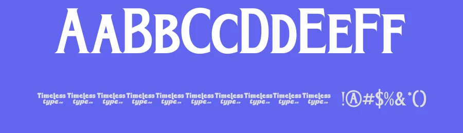 Bright Renew Font by timelesstype.co — Serif Font — thumbnail 3