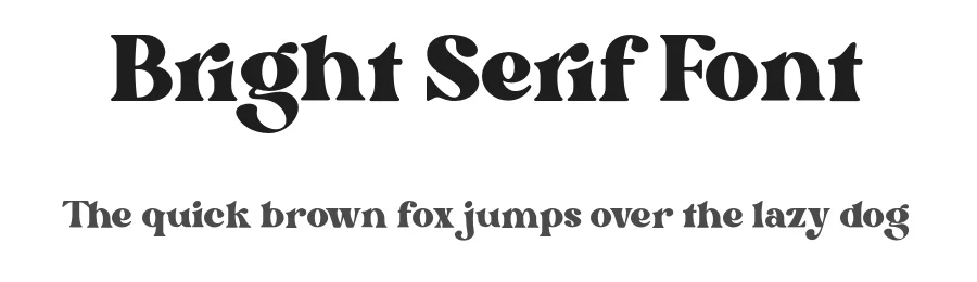 Bright Serif Font by Dharmas Studio — Serif Font