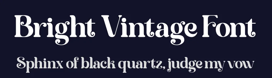 Bright Vintage Font by saemooncreative — Serif Font — thumbnail 2