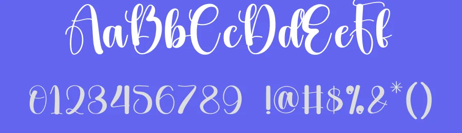 Brightness Style Script Font by andikastudio — Script Handwritten Font — thumbnail 3