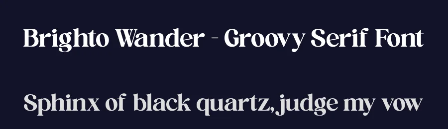 Brighto Wander – Groovy Serif Font by timelesstype.co — Display Font — thumbnail 2