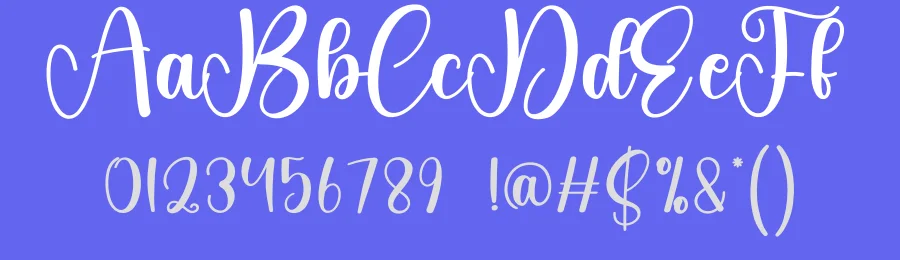 Brighton Calligraphy Font by creativeletter — Script Handwritten Font — thumbnail 3