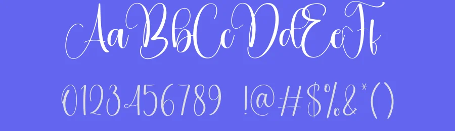 Brightson Calligraphy Font by creativeletter — Script Handwritten Font — thumbnail 3
