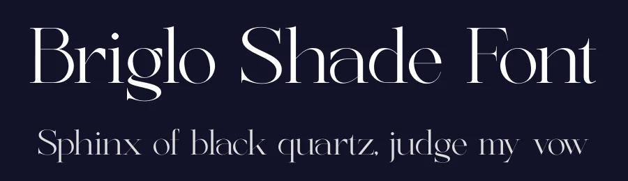 Briglo Shade Font by timelesstype.co — Display Font — thumbnail 2