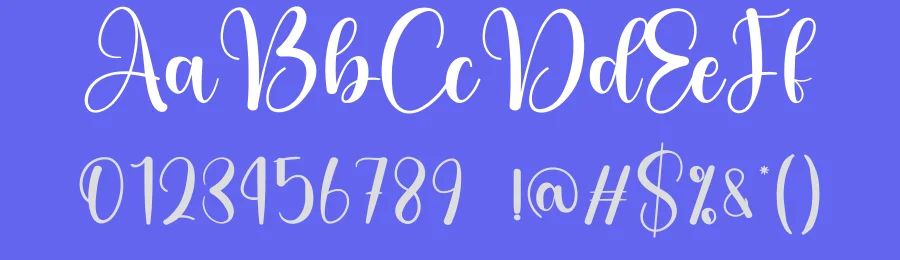 Brigthon Calligraphy Script Font by creativeletter — Script Handwritten Font — thumbnail 3