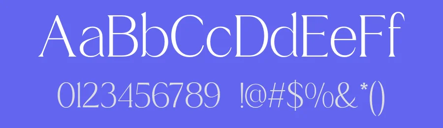 Brikey Moura Font by roomspace.cl — Serif Font — thumbnail 3