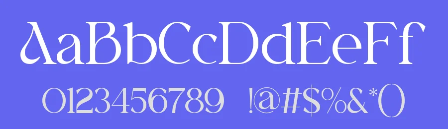 Brilega Fadone || Modern Classy Serif Font by ErmediaStudio — Display Font — thumbnail 3