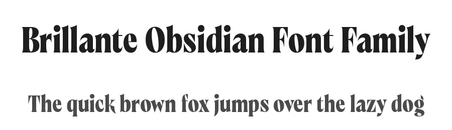 Brillante Obsidian Font Family by Black Foundry — Serif Font