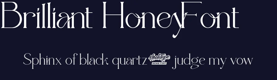 Brilliant Honey Font by noahtype — Display Font — thumbnail 2
