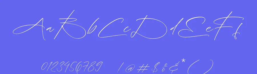 Brilliant Santiago Script Font by stylishtype.co — Script Handwritten Font — thumbnail 3