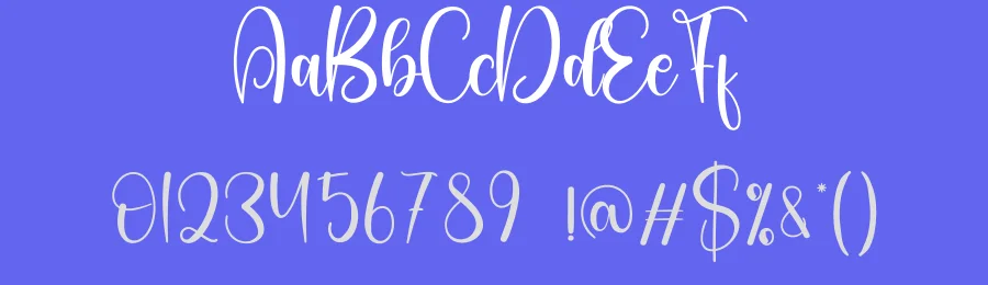 Brimingham Script Font by creativeletter — Script Handwritten Font — thumbnail 3