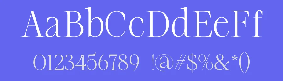 Brimula Font by zafira.type — Serif Font — thumbnail 3