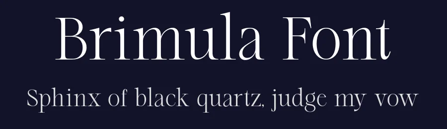 Brimula Font by zafira.type — Serif Font — thumbnail 2