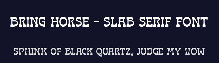 Bring Horse – Slab Serif Font by timelesstype.co — Display Font — thumbnail 2