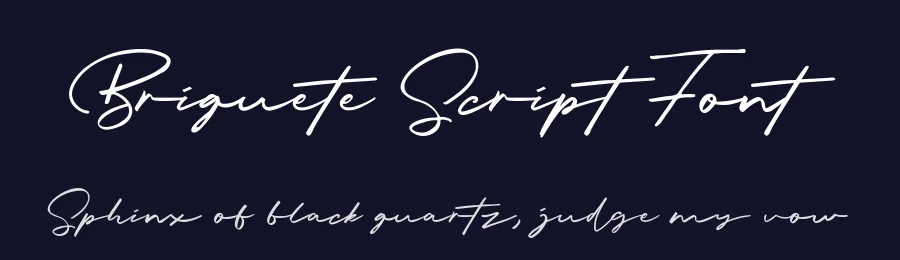 Briquete Script Font by Bluetype — Script Handwritten Font — thumbnail 2