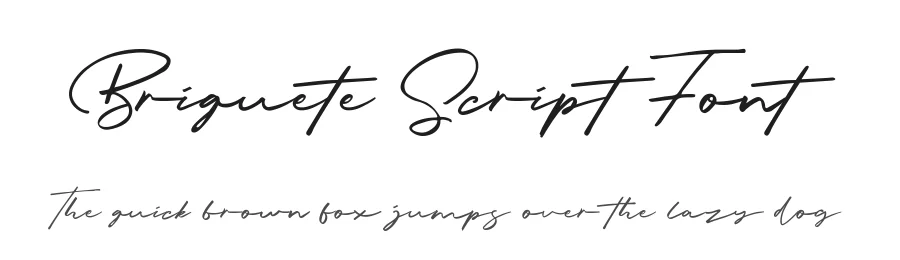 Briquete Script Font by Bluetype — Script Handwritten Font
