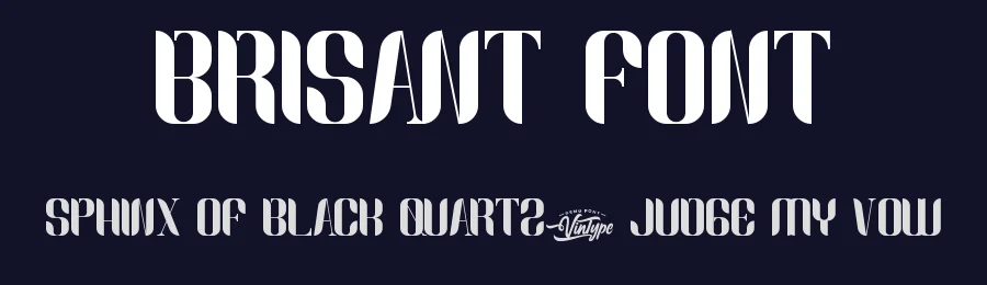 Brisant Font by VinType — Sans Serif Font — thumbnail 2