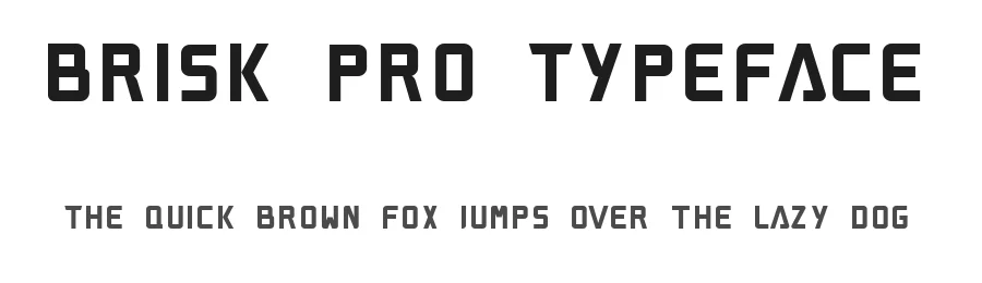 Brisk Pro Typeface by graphicpear — Sans Serif Font