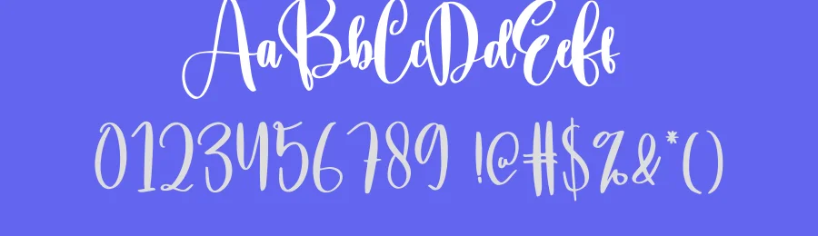 Brisk Script Font by creativeletter — Script Handwritten Font — thumbnail 3