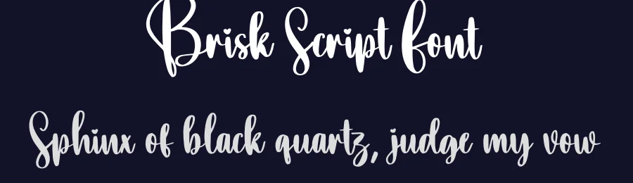 Brisk Script Font by creativeletter — Script Handwritten Font — thumbnail 2
