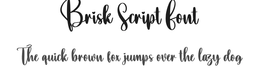 Brisk Script Font by creativeletter — Script Handwritten Font
