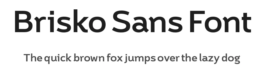 Brisko Sans Font by Tour De Force β Sans Serif Font
