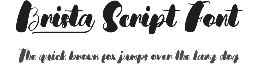 Brista Script Font by vaiminit — Script Handwritten Font