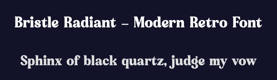 Bristle Radiant – Modern Retro Font by Letterena Studios — Display Font — thumbnail 2