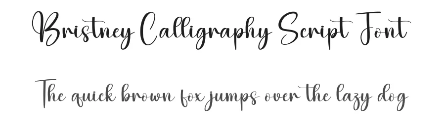Bristney Calligraphy Script Font by creativeletter — Script Handwritten Font