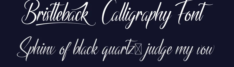 Bristteback Calligraphy Font by nihstudio — Script Handwritten Font — thumbnail 2