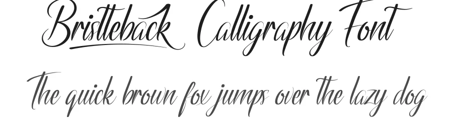 Bristteback Calligraphy Font by nihstudio — Script Handwritten Font