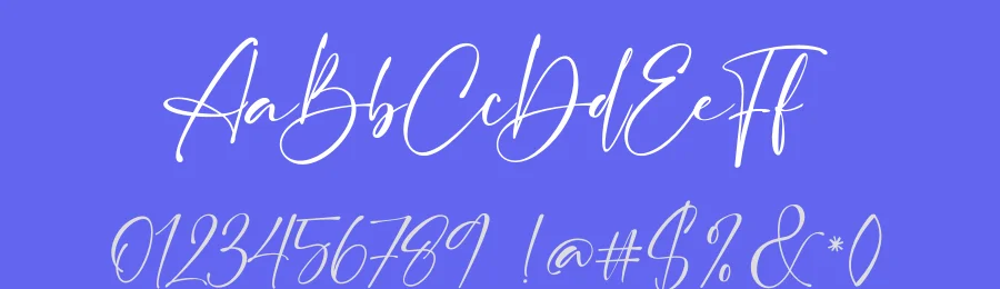 British Castilla Script Font by ErgibiStudio — Script Handwritten Font — thumbnail 3
