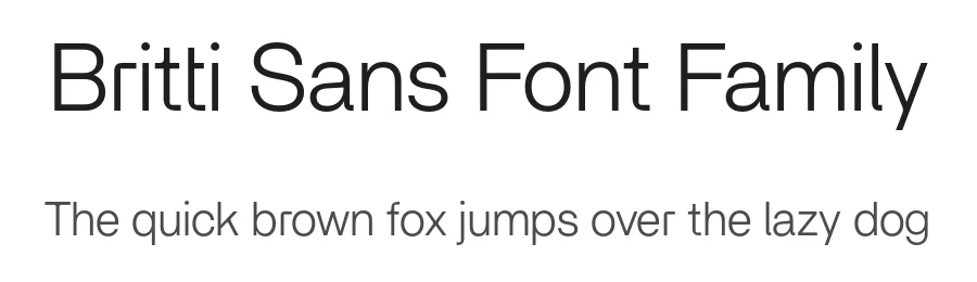 Britti Sans Font Family by Nois — Decorative Font
