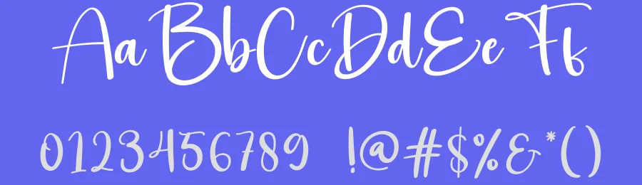 Broisther Script Font by creativeletter — Script Handwritten Font — thumbnail 3