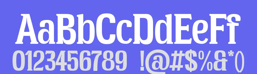 Broken Strings Font by Heinzel Std. — Serif Font — thumbnail 3