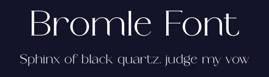 Bromle Font by Muflieart — Serif Font — thumbnail 2